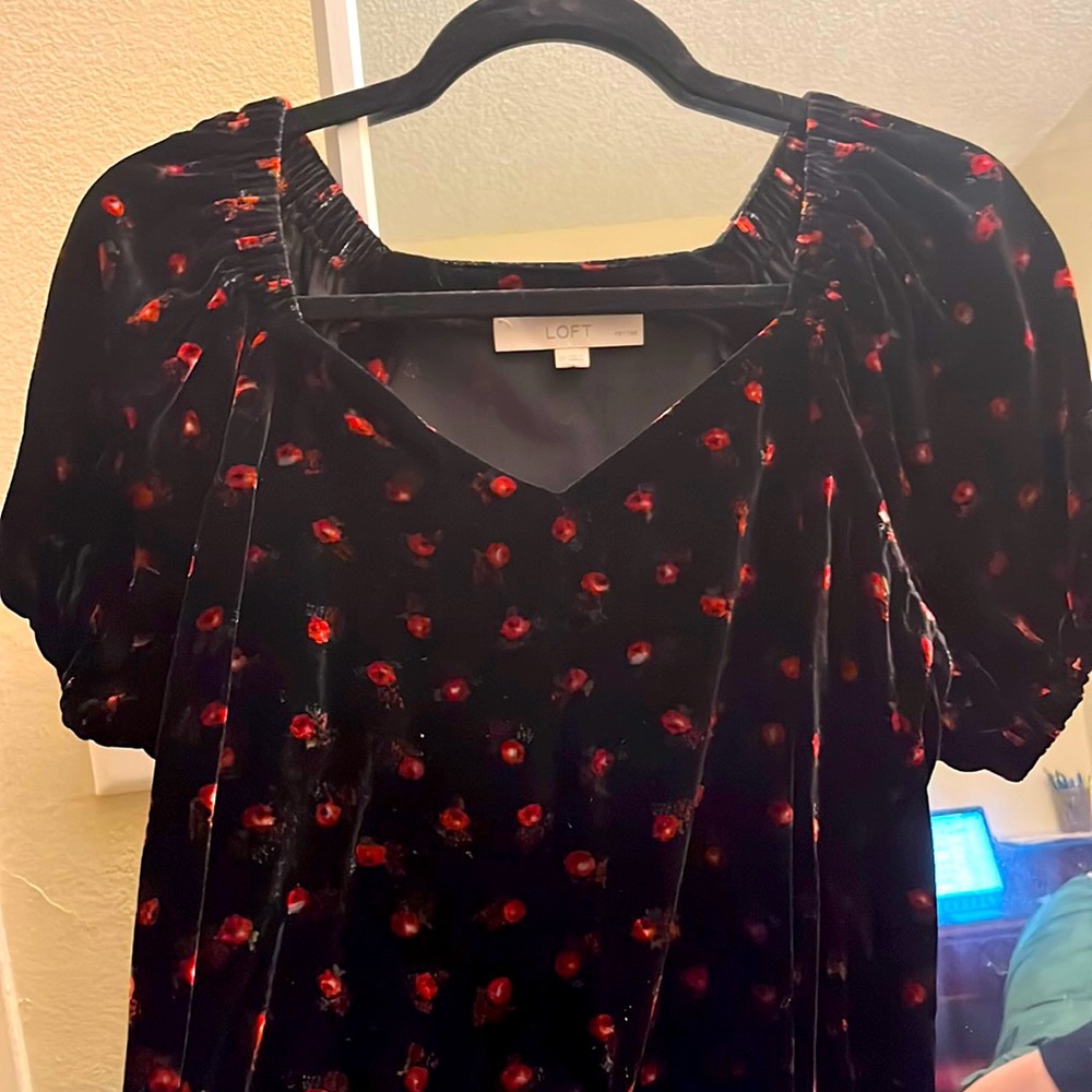 Loft blouse